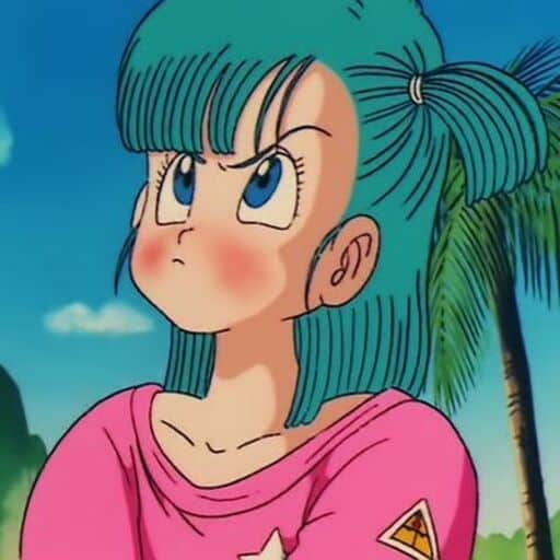 Bulma Adventure 1